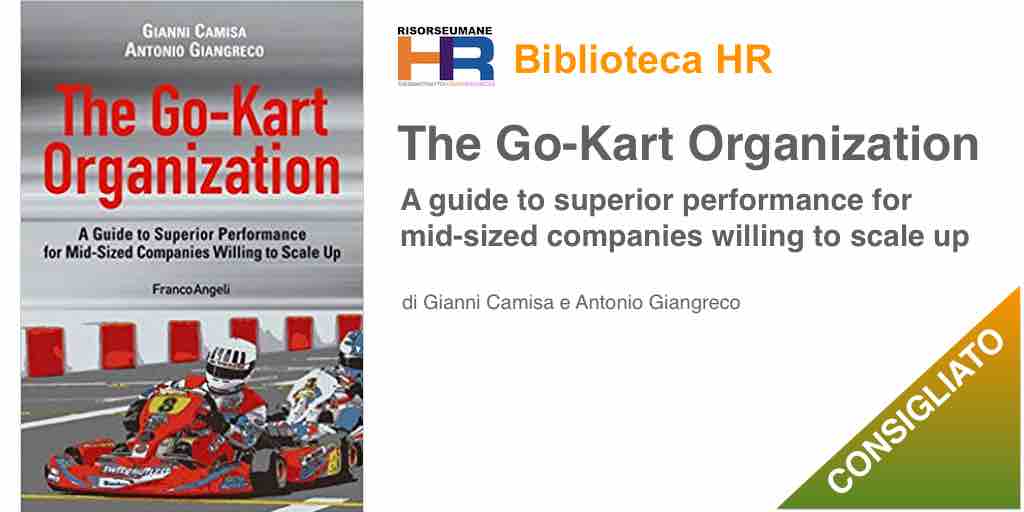 The go-kart organization. A guide to superior performance for mid-sized companies willing to scale up
