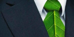 Il Green HR tra business sostenibile e motivazione dei collaboratori